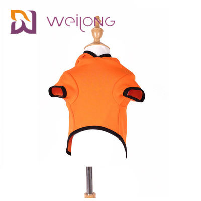 Hoodie Cat Dog Clothes de chien d'Autumn Embroidery Face Halloween Pumpkin